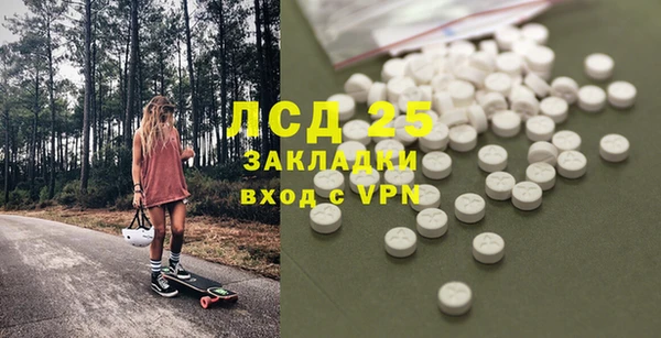 прущая мука Вяземский