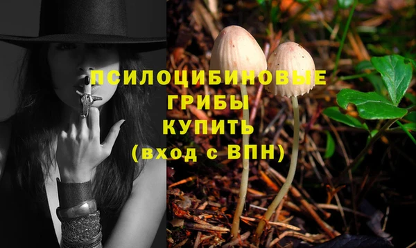 Альфа ПВП Армянск