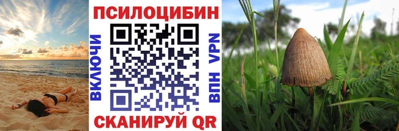 Псилоцибиновые грибы Cubensis  Ессентуки 