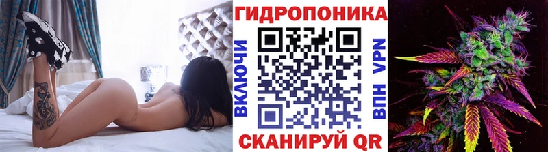 kraken онион  Ессентуки  Бошки Шишки тримм  магазин продажи наркотиков 
